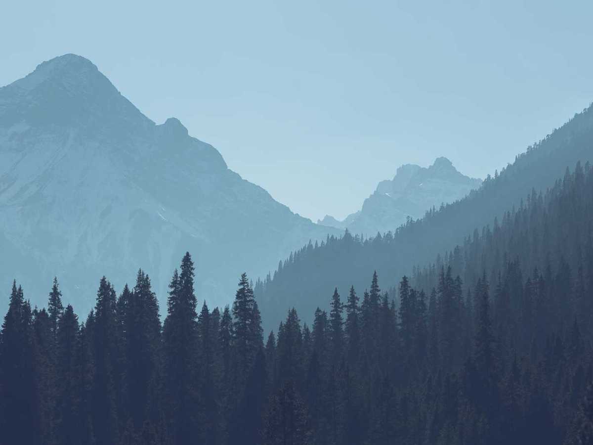 Tibetan Food and&nbsp;Cuisine